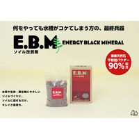 レオン ＲＥＯＮ　ＡＱＵＡ　Ｅ．Ｂ．Ｍ　１００ｇ 261814 1個（直送品）