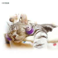 ドギーマンハヤシ 全身マッサー術　にゃんこの癒し　部分フィット 264660 1個（直送品）