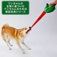 ペティオ 犬用おもちゃ びよ~ん!フルーツ スイカ 271590 1個（直送品）