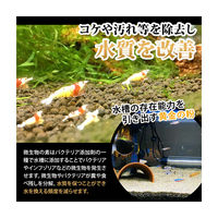 o-o-company OーOー (オーオー) 微生物の素 10g 335889 1個（直送品）
