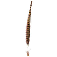 ドギーマンハヤシ じゃれ猫 猫おどり釣竿あそび 287021 1個（直送品）