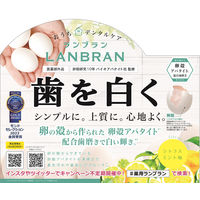 ランブラン 薬用 歯磨き粉 ホワイトリプロ ホワイトニングハミガキ 100g 1本 三和通商