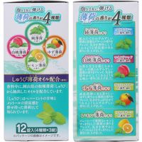【数量限定】 入浴剤 クール 温泡 ONPO さっぱり炭酸湯 こだわり薄荷 4種アソート 1箱（12錠入）透明タイプ アース製薬