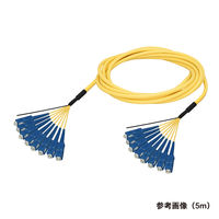 ダイヤトレンド DFC-SMSCSC-RMT81(6M) 1本（直送品）