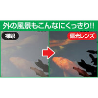 ファミリー・ライフ 調光・偏光ファッショングラス a29987 1個