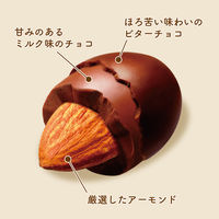 チョコレート菓子 アーモンドチョコレート　シェアパック　97g 1セット（1個×6）