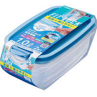 エビス パックスタッフ フィットロック 1.0L 4901221531006 1セット(2個入×24点セット)（直送品）