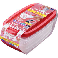 エビス パックスタッフ フィットロック 700ml 4901221530900 1セット(2個入×24点セット)（直送品）