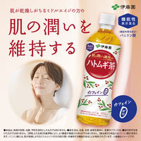 【機能性表示食品】伊藤園 はと麦茶 500ml 1セット（48本） お茶 ハトムギ茶 ノンカフェイン カフェインゼロ