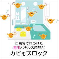 住まいの魔法のビーズ 置くだけ・かんたん カビ予防剤 防カビ 無香料 150g 5個 丹羽久