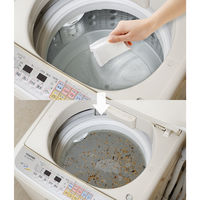 洗濯槽キレイサッパリ 50g小分けパック　5パック（12個入×5） 600g アーネスト