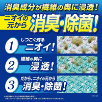 オドイータースニーカー用　除菌消臭ミスト　5個