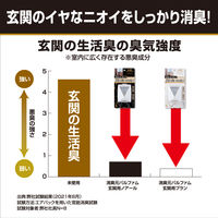 消臭元 玄関用 パルファムノアール 消臭芳香剤 5個 小林製薬