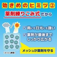虫コナーズ 250日 ベランダ用 玄関用 ペアパック   虫よけ ネット 虫除け 防虫剤 5パック KINCHO キンチョー