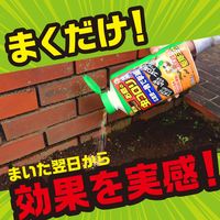 害虫駆除剤 園芸用品 殺虫剤 アースガーデン お庭の虫コロリ 顆粒タイプ 700g 5個 いやな虫 対策 退治 撃退 アース製薬