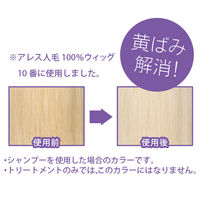 アレスカラー ムラサキシャンプー 200ml ムラシャン カラーケア アレスプランニング　5本