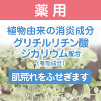 肌荒れ防ぐ薬用無添加泡ボディソープ 本体 400ml 12個 マックス 泡タイプ