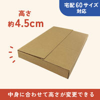 【60サイズ】高さ4段階可変ダンボール 縦303×横215×高さ15～60mm 1パック（1枚入） SP6301 今村紙工