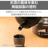 酒燗器 徳利 分離式 2.5合 (450ml) 無段階調節 熱燗 ぬる燗 陶磁器製 大徳利 燗瓶 SK31 テスコム 1個（直送品）
