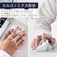 トラックボール マウス ワイヤレス 無線 IST 5ボタン 人工ルビーユニット 白 M-IT10DRWH エレコム 1個（直送品）