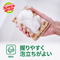 スリーエム（3M）スコッチブライト グリーナークリーン PLAネットスポンジ キッチン 食器洗い  GC-PLA NET（1個入）