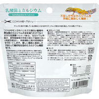 三晃商会 乳酸菌とカルシウム 60g 265660 1個（直送品）