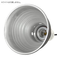 三晃商会 ＲＥＰＴＩＺＯＯ　リフレクティングドームランプフィックスチャー５．５　ＲＬ０４Ｕ 296777 1個（直送品）