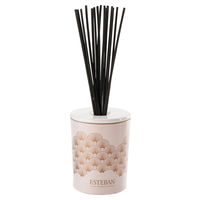 エステバン イリスカシミア デコラティブラタンブーケ 芳香剤 本体 100ml 1個 日本香堂