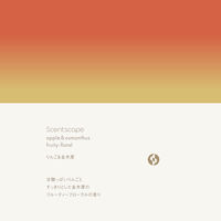 セントスケープ お香 りんご＆金木犀 30本入 1個 日本香堂