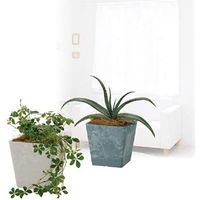 リッチェル ボタニー スクエアポット 12型 ライトグレー 4945680716352 1個（直送品）