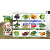 住友化学園芸 ベニカマイルドスプレー 1000ml 4975292603580 1本(1000ml入)（直送品）