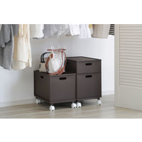 JEJアステージ カロキューブレギュラートレー ブラウン 4528302190053 1個