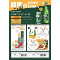 クラフトビール 眞露 TERRA（テラ） 瓶 330ml 3本
