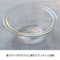 HARIO （ハリオ） 耐熱ガラス製 ボウル 浅型 2個セット MXPA-2806 1個