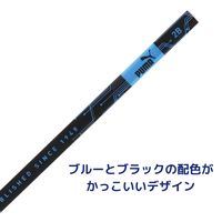 クツワ PUMA(プーマ) 三角かきかた鉛筆 2B 紙箱入 PM449 1個
