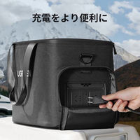キャリングバッグ for PowerRoam 600 ポータブル電源用 15236 1個 UGREEN