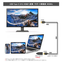 USB Type-C to HDMI 変換アダプター 4K30Hz コンパクトタイプ VV-UCHD-SV Vodaview