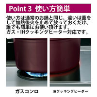 和平フレイズ ビストニア IH対応真空煮込み鍋19cm MB-2915 1個