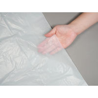 ゴミ袋 実用本位 nocoo in 白半透明 低密度 20L 厚さ:0.020mm 1袋（10枚入）日本サニパック