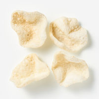 無印良品 素材を生かしたスナック ごぼう 48g 1セット（12袋） 良品計画