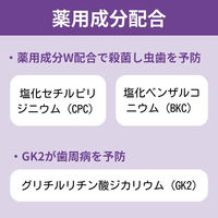 マウスウォッシュ ボトル 薬用デンタライフ トータルケア ストロングミント 強アルコール 1000ml ロケット石鹸