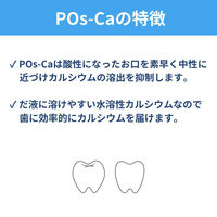 マウスウォッシュ 液体ハミガキ Pos-Ca デンタルリンス クリアミント ノンアルコール 600ml 1セット（6本）ロケット石鹸