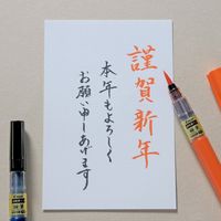 パイロット 筆ペン 瞬筆 本格毛筆 中字 朱 SVS-70FDM-SHU 1セット（10本）