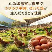 平飼いたまごのマヨネーズ 200g 1個 味の素