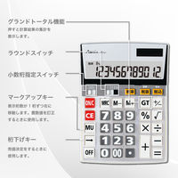 アスカ ビジネス電卓 LL C1255 1セット(1個×2)