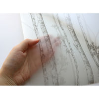 明和グラビア GE-4641 46cm×90cm 2本組 1セット(2本入)（直送品）