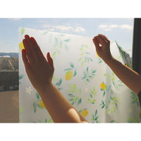 明和グラビア GH-4621 46cm丈×90cm巻×2本組 1セット(2本入)（直送品）