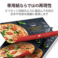 レーザープリンター用紙 セミ光沢紙 厚手 A4 50枚 両面印刷 コピー用紙 ELK-GANA450 エレコム 1個（直送品）