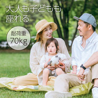 アーテック 折りたたみ式 レジャーチェア 35558 1個（直送品）