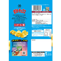 ポテトチップス じゃがいもと塩 6袋 湖池屋 スナック菓子 おつまみ